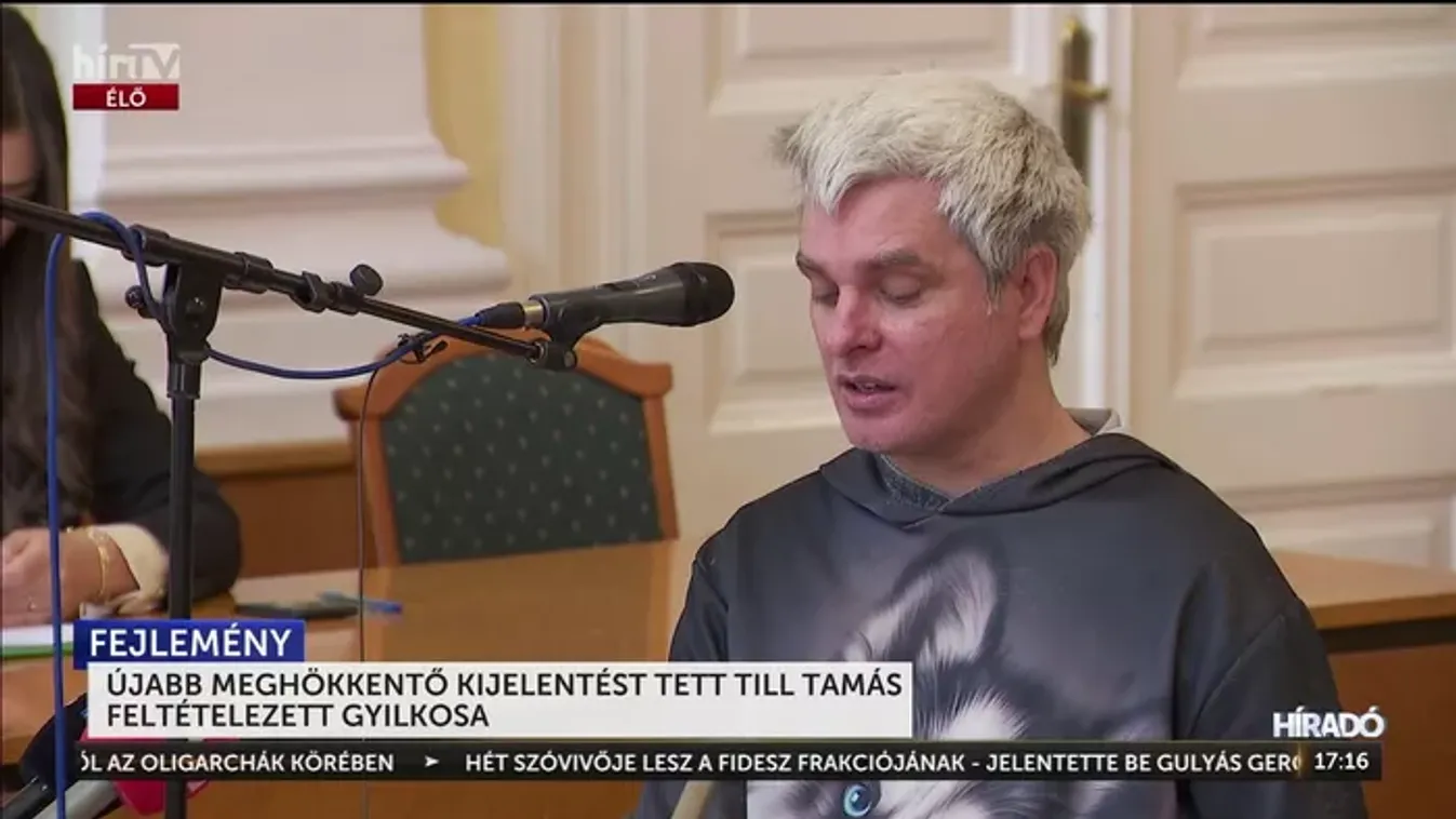 Till Tamás feltételezett gyilkosa pedofilhálózatról és 17 gyilkosságról beszélt a bíróságon