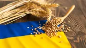 Az ukrán importtilalom visszavonására szólította fel a Tisza-kormányt az Európai Bizottság
