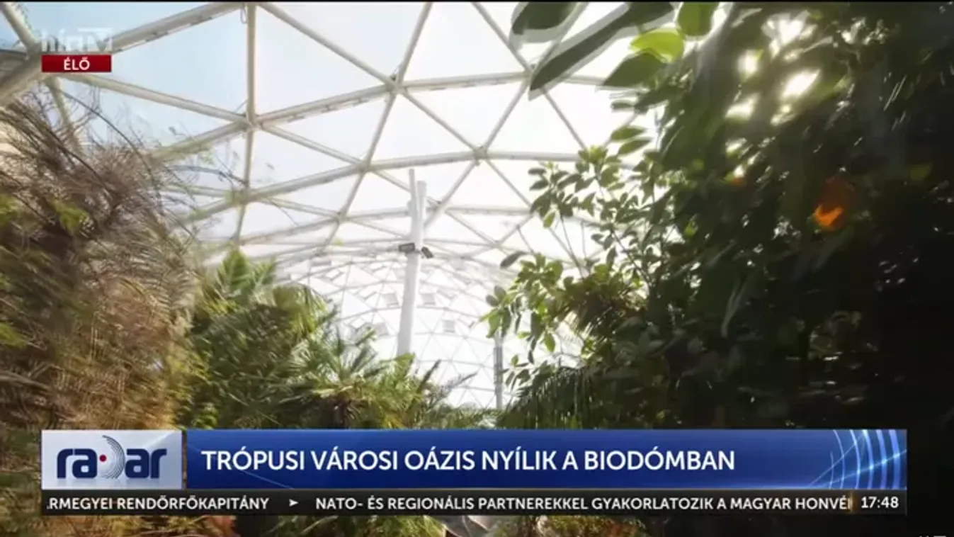Már a majmok és a teknősök is beköltöznek a Biodómba