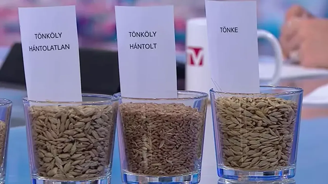 Így alakultak ki a mai gabonafajták