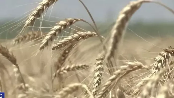 Megszűnt a magyar gazdákat védő importtilalom