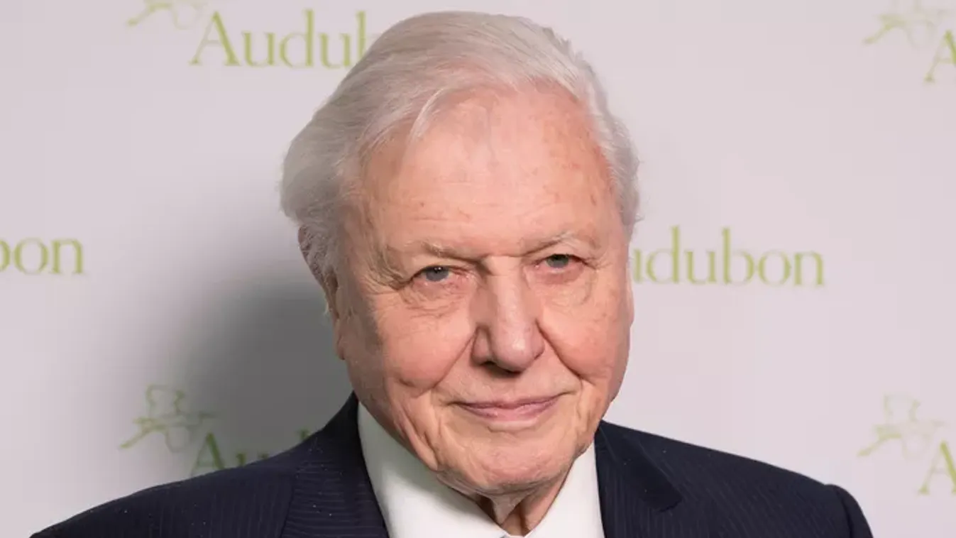 100 éves Sir David Attenborough, a brit televíziózás doyenje