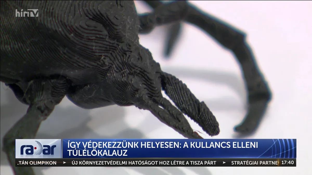 Kézzel barkácsolt fertőzés: miért tilos körömmel hozzányúlni a kullancshoz?