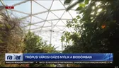 Már a majmok és a teknősök is beköltöznek a Biodómba