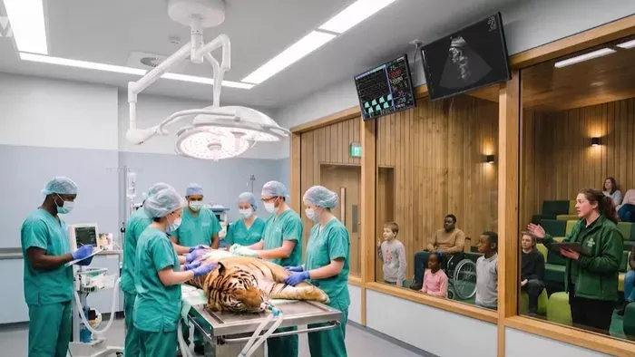 Rendhagyó módon kerül közelebb az állatgyógyászat az emberekhez