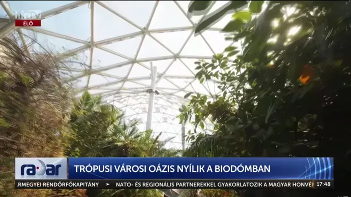 Már a majmok és a teknősök is beköltöznek a Biodómba