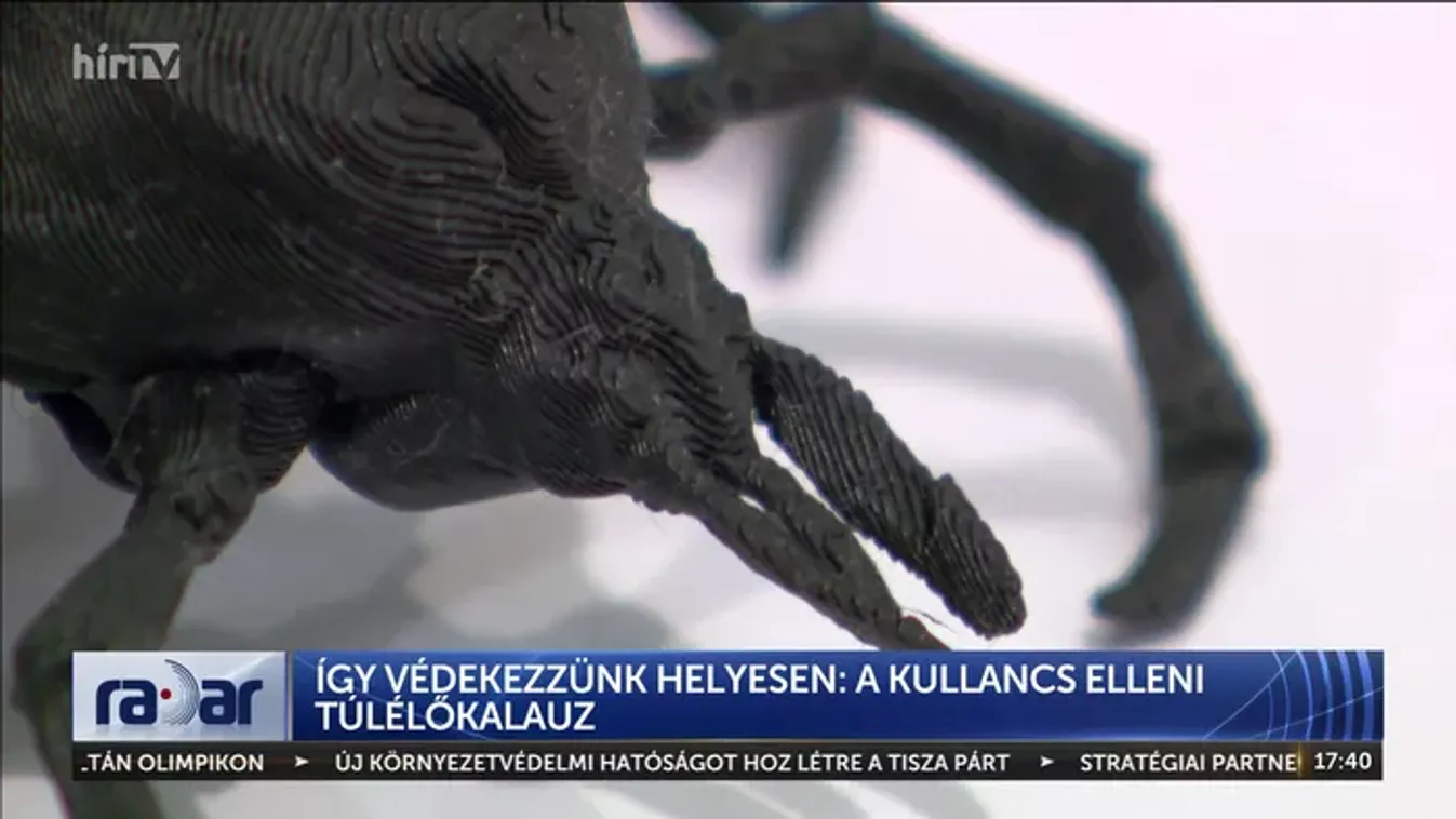 Kézzel barkácsolt fertőzés: miért tilos körömmel hozzányúlni a kullancshoz?