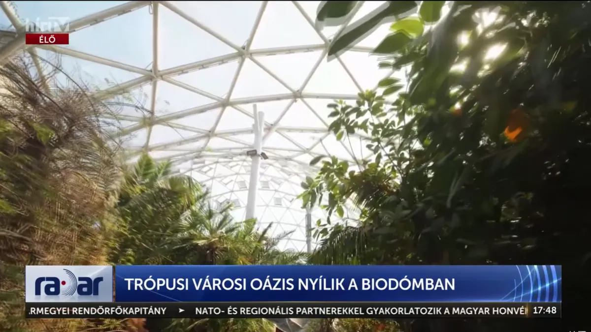 Már a majmok és a teknősök is beköltöznek a Biodómba
