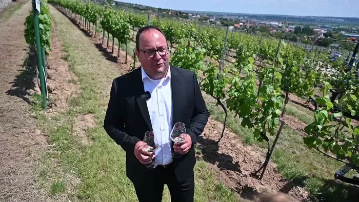 Forradalom a pohárban: Pécsen mutatták be az új alkoholmentes borokat