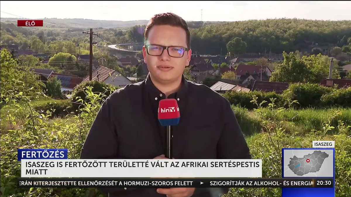 Pusztító kór csapott le Pest vármegyében