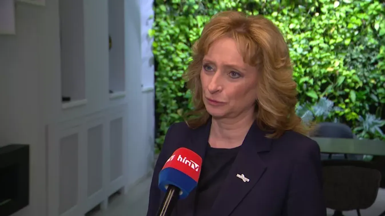 A Fidesz korábbi képviselője elmondta, mivel kellene elsőként szembenéznie a pártnak