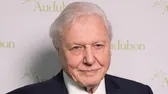 100 éves lett Sir David Attenborough