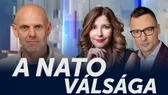 A NATO válsága