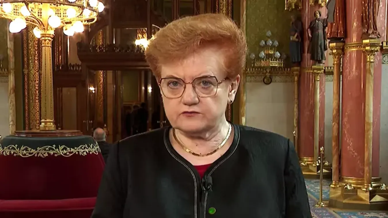 A Tisza Párt csökkentené az állami beavatkozást