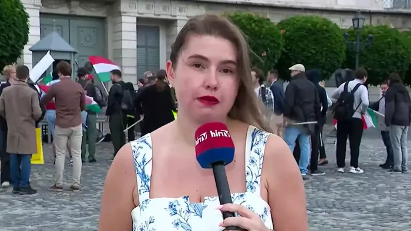 Vona Gábor tüntetést szervezett a Sándor-palota elé Sulyok Tamás lemondása érdekében