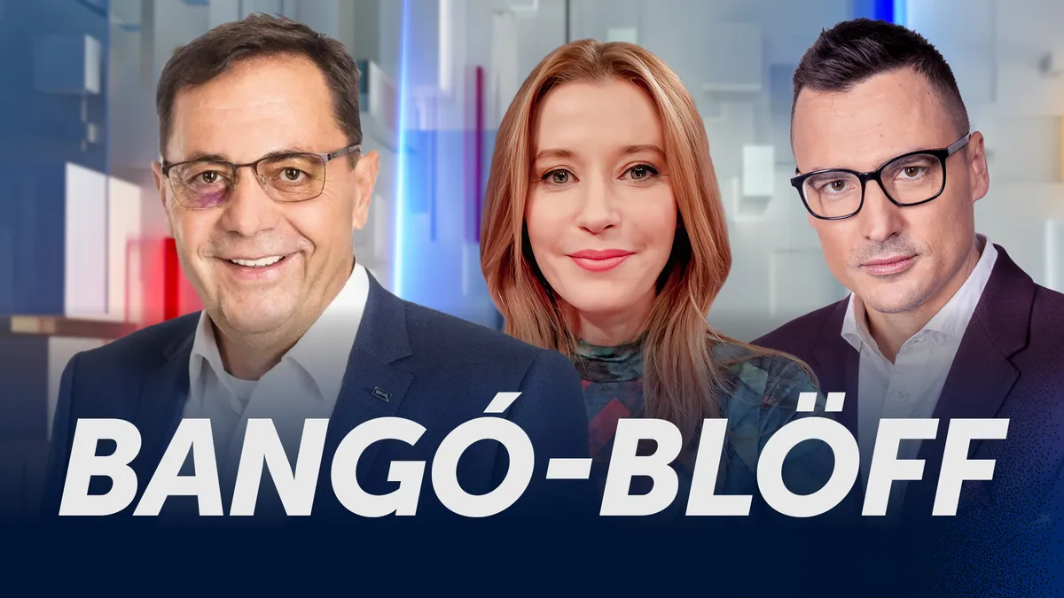 Bangó Sándor Amerikában bujkál