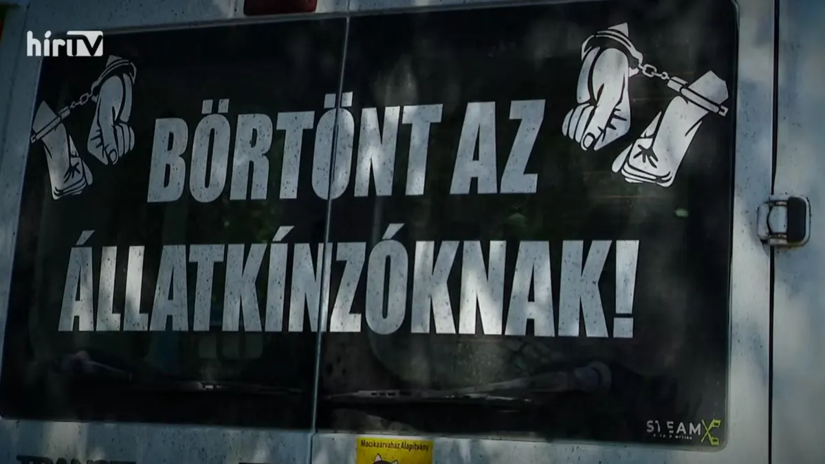 Kutyáival költözött be, majd ölt a rejtélyes nő