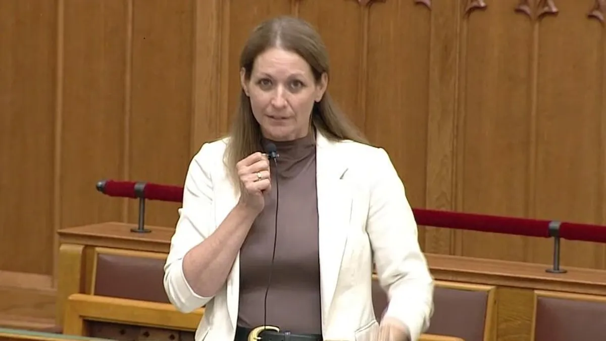 Trágár jelzőkkel illette Lezsák Anna fideszes képviselő nagymamáját egy tiszás képviselő