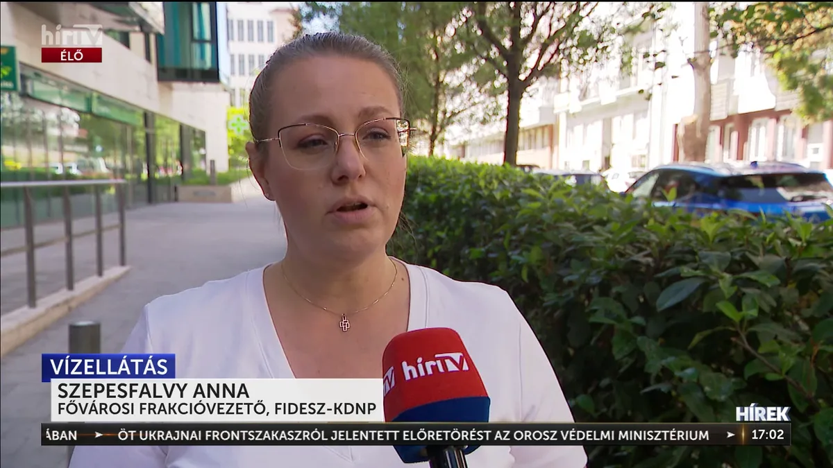 Sávos vízdíjat tervez a főváros