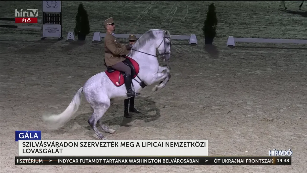 Hatalmas sikerrel zárult a szilvásváradi Lipicai Lovasgála
