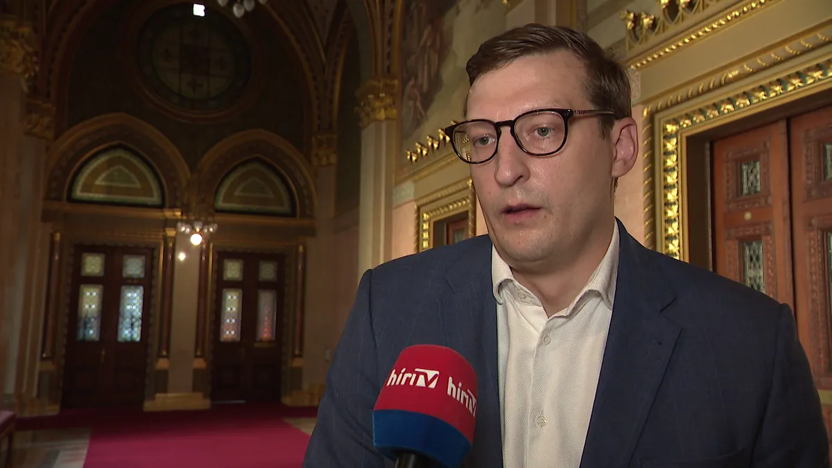 Panyi Miklós bírálta a vizsgálóbizottság 10 ezer oldalas munkatervét