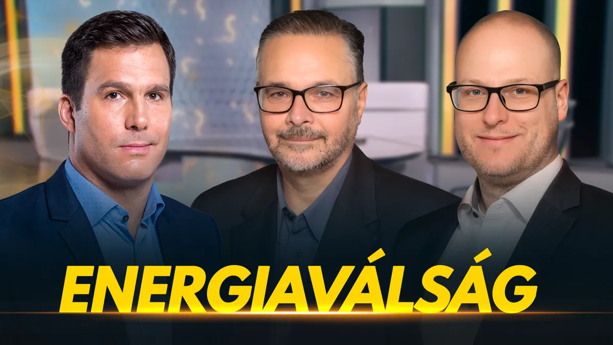 Milliméterekre jártunk a paksi erőmű teljes lekapcsolásától