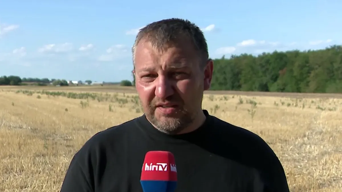 Hősiesen kerülte el a lakott területet a lezuhant Gripen pilótája