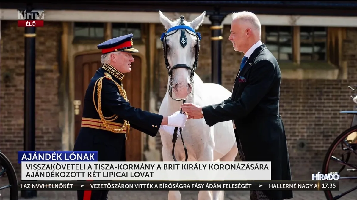 Ha ez nem inkompetencia, akkor valaki mondja el, mi volt a cél a királyi lóüggyel