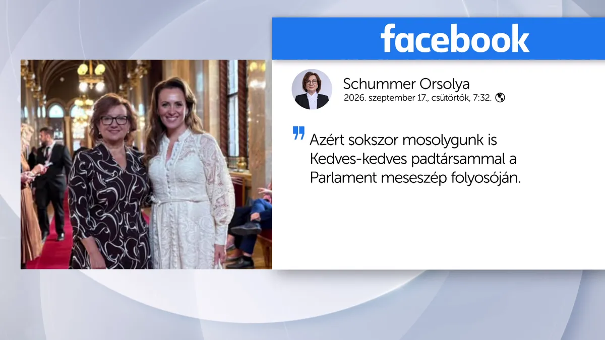 Más helyett szavazott a tiszás Schummer Orsolya: Bóka János a Házbizottság összehívását kéri