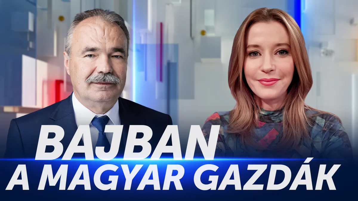 Belső piaci problémák és az emelkedő üzemanyagárak nehezítik a magyar gazdák helyzetét