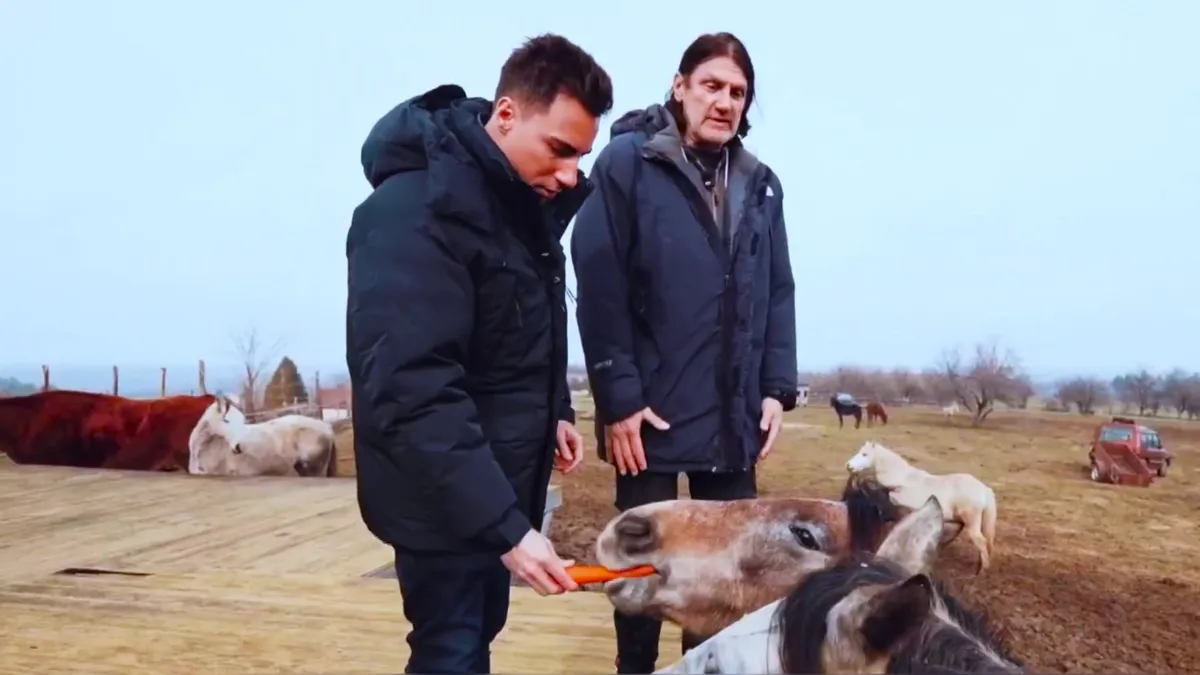 Segítséget ígért egy állatmenhelynek a Tisza, de cserbenhagyták őket