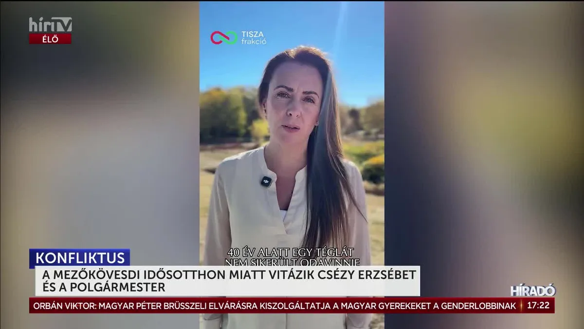 Konfliktusba keveredett a tiszás Csézy Erzsébet