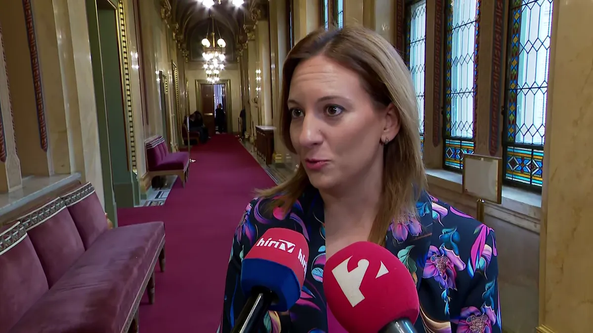 Riasztó IMF-javaslatokról beszél a Fidesz képviselője