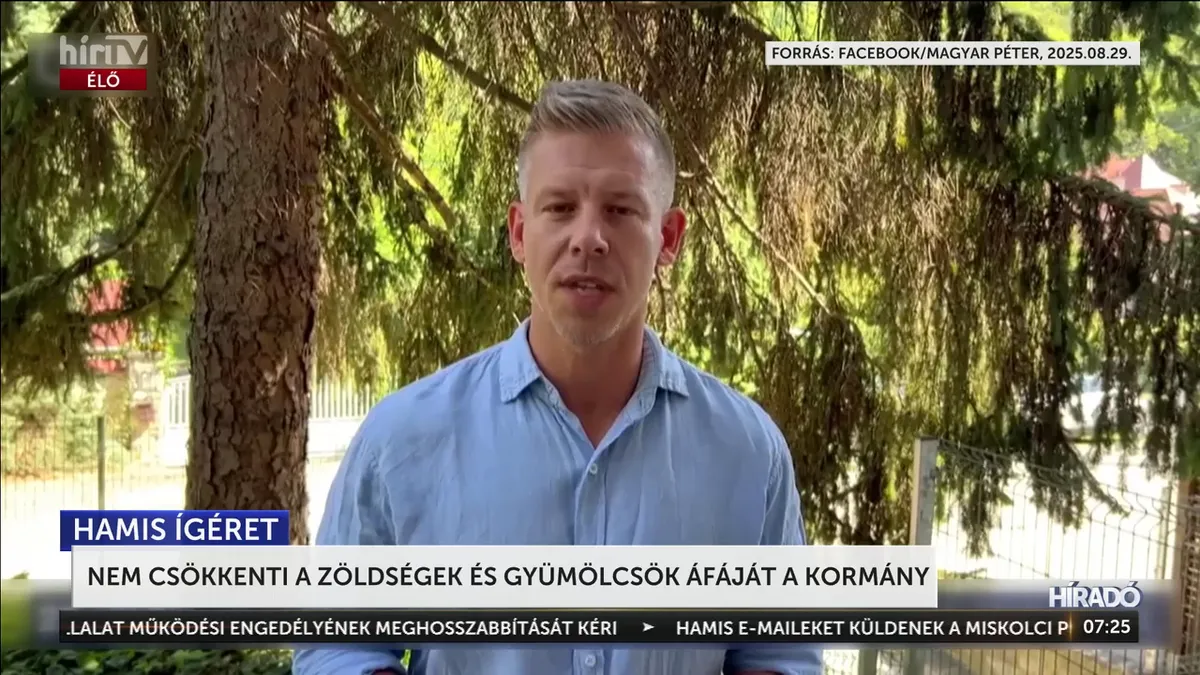 Az adócsökkentés költségvetéséből kimaradtak a zöldségek és a gyümölcsök