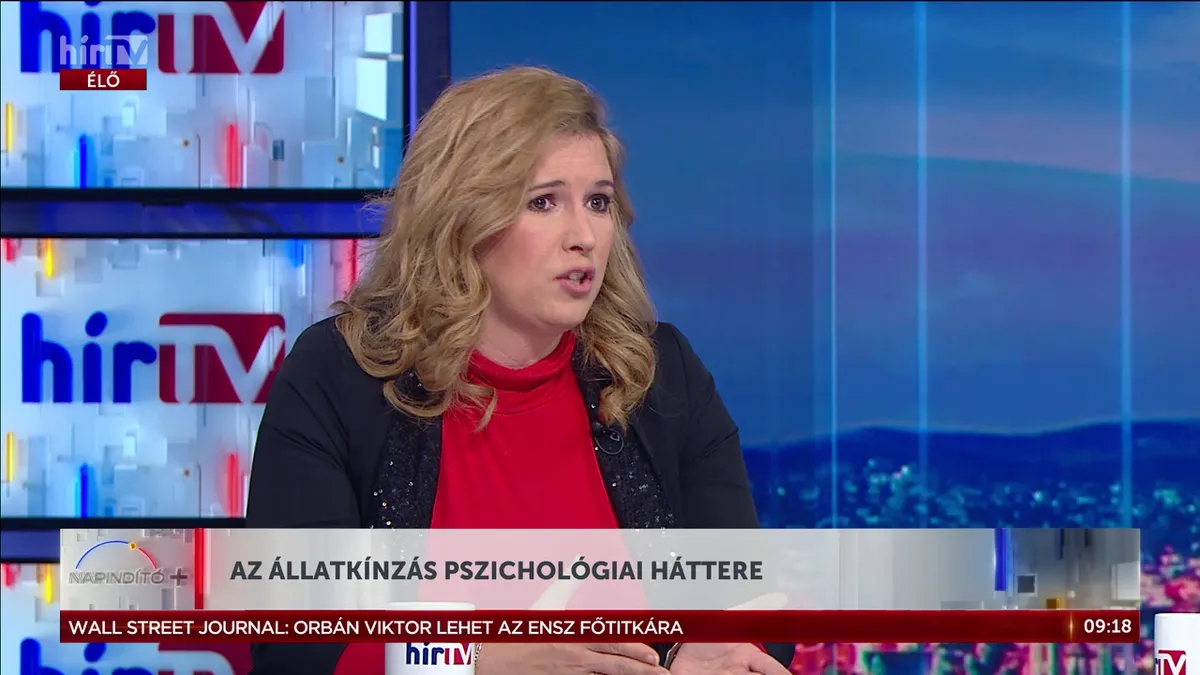 Az állatkínzás pszichológiai háttere