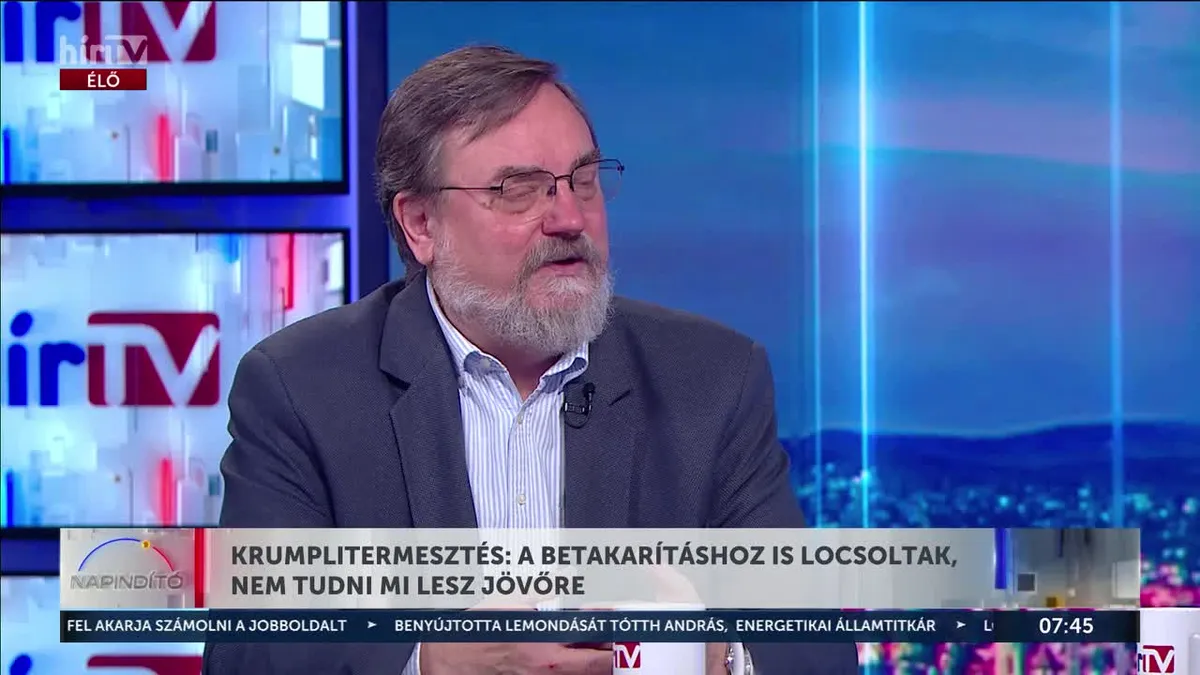 Rossz hír: nagyot nőhet tavaszra a zöldségek ára